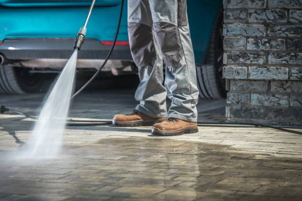 Best Pre-Holiday Cleaning  in Elgin, TX